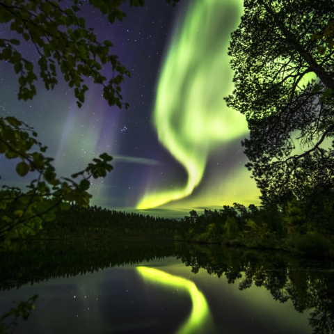 Finnish Lapland -Northern Lights
